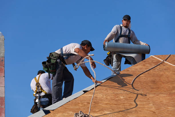 Roof Gutter Cleaning in Leadington, MO